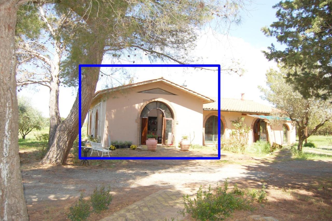 Relais Casale Il Poggetto - Olivo 2 By Zoom In Earth Leilighet Cecina  Eksteriør bilde